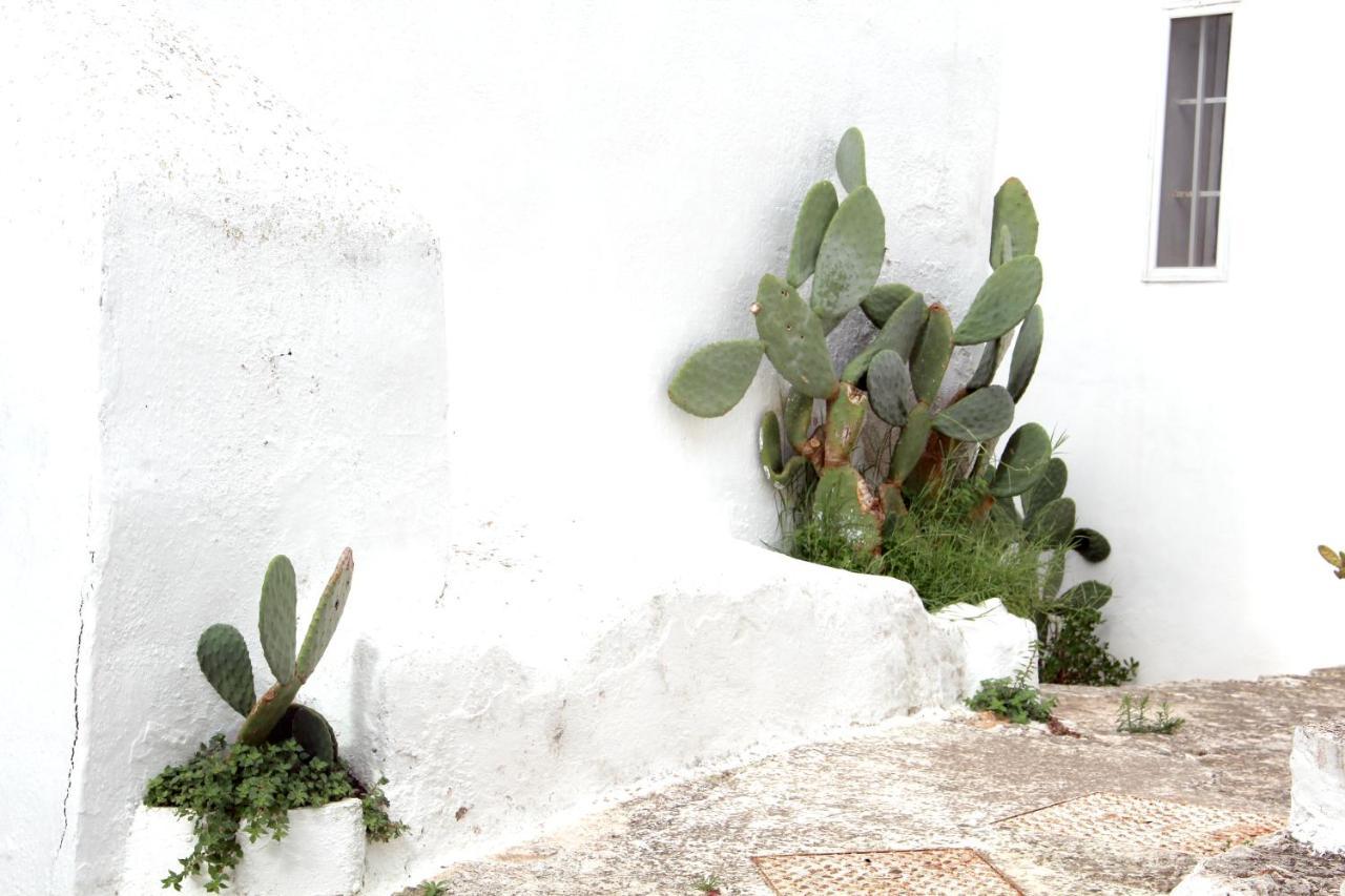 Monolocale Ilporticciolovacanze Villanova di Ostuni Dış mekan fotoğraf